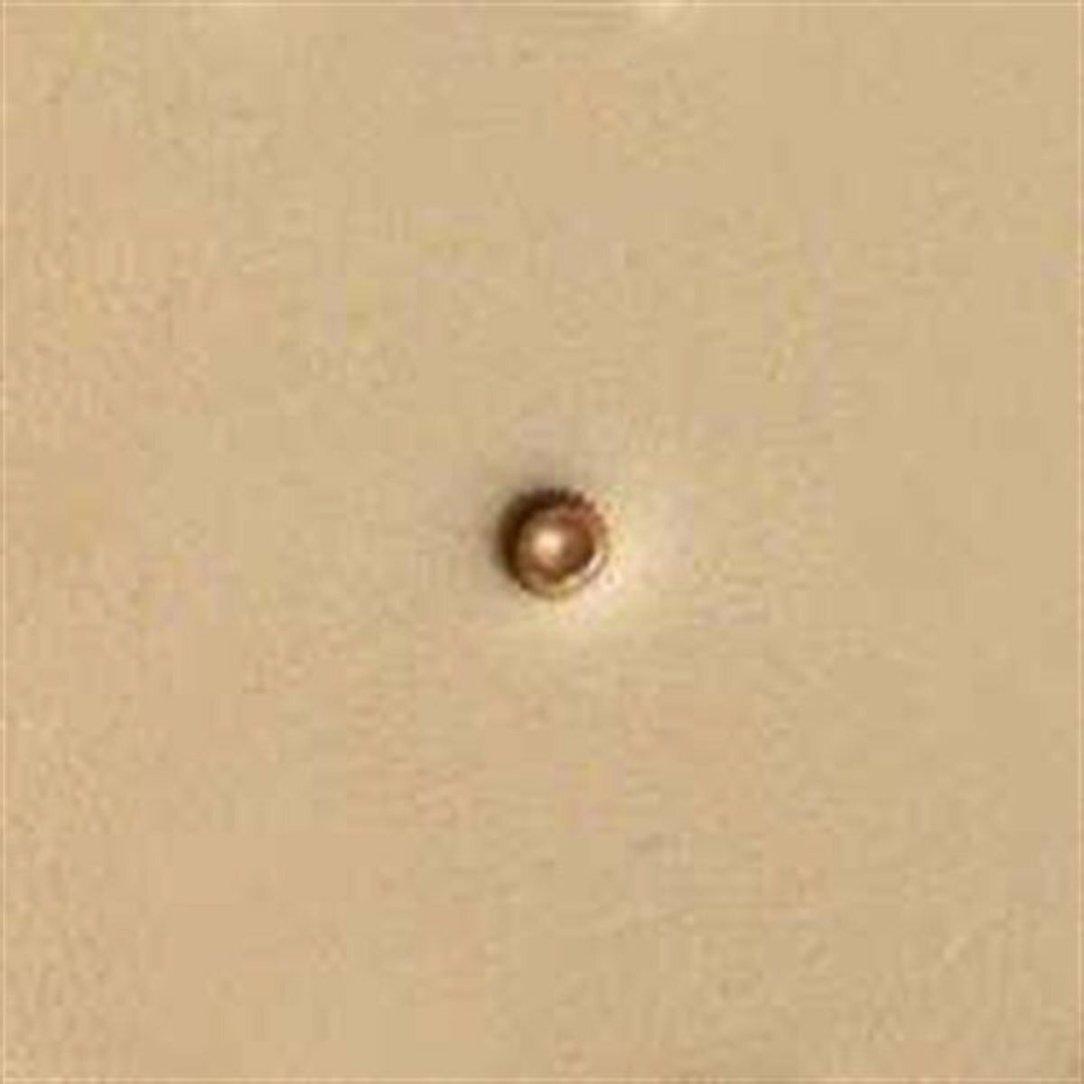 Craftool Seeder Stamp 6724-00 by Tandy Leather