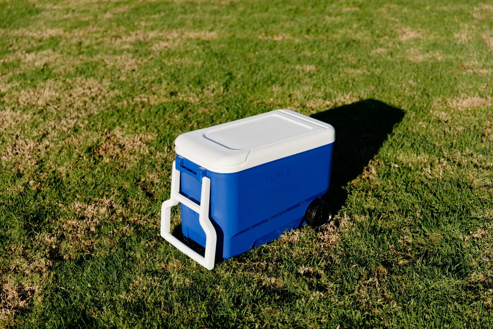 Igloo Wheelie Cool 38 QT Hard Sided Cooler with Wheels, Blue