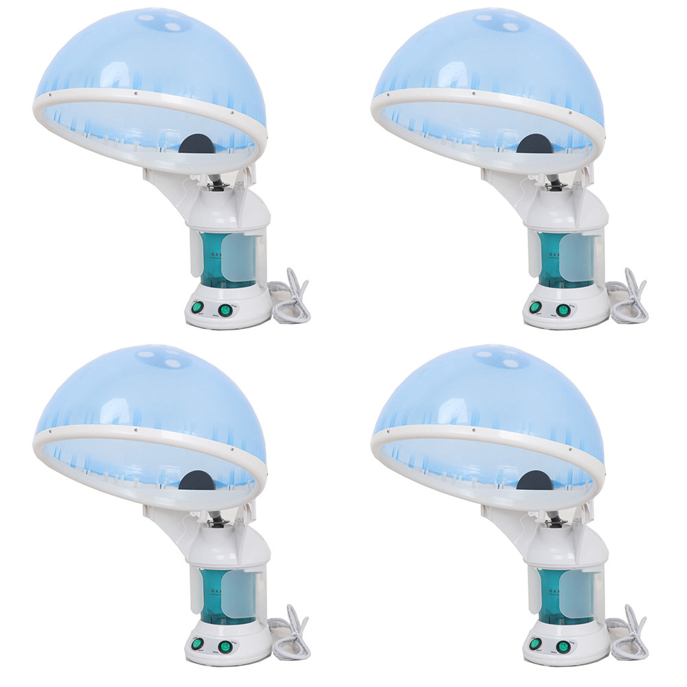 4PCS Mini Facial Salon Ozone Hot Steamer Spa Pro Personal Table TOP Face & Hair