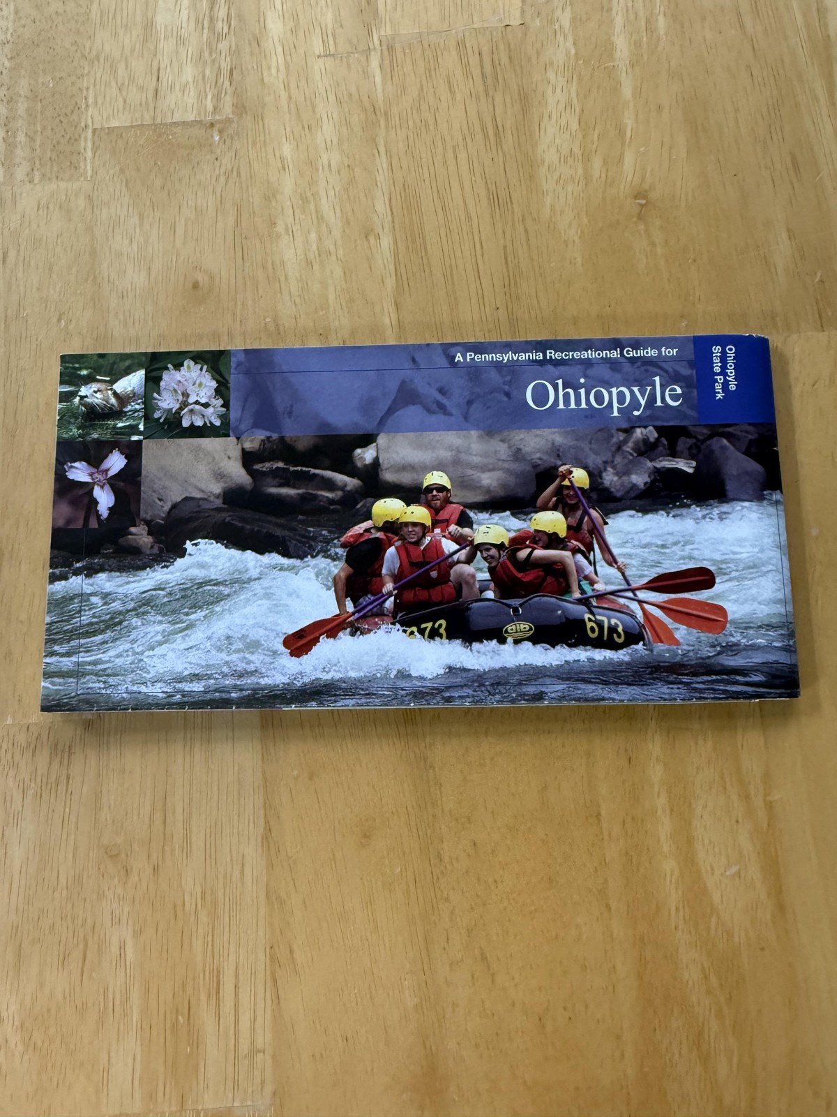 Ohiopyle State Park Pennsylvania Recreational Guide Map Folded Brochure USA