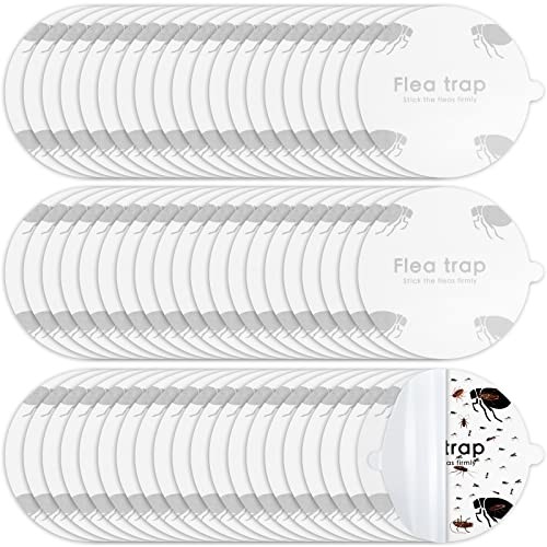 Flea Trap Refill Discs Sticky Fly Trap Refill Glue Board Refills Double Layer