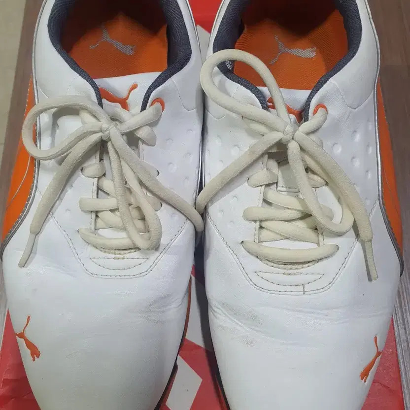 Puma Men's Golf Shoes Size 260 Lightly Used