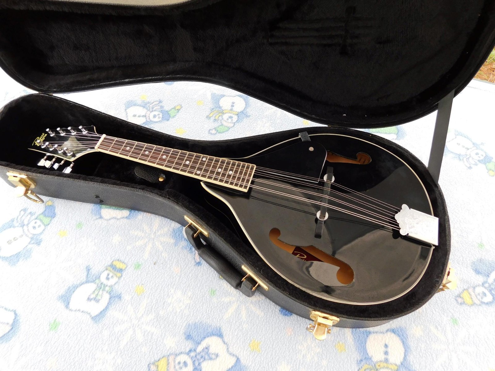Rogue Mandolin RM-101A with Hardshell Case,New Martin Strings, Both Ex. Cond.