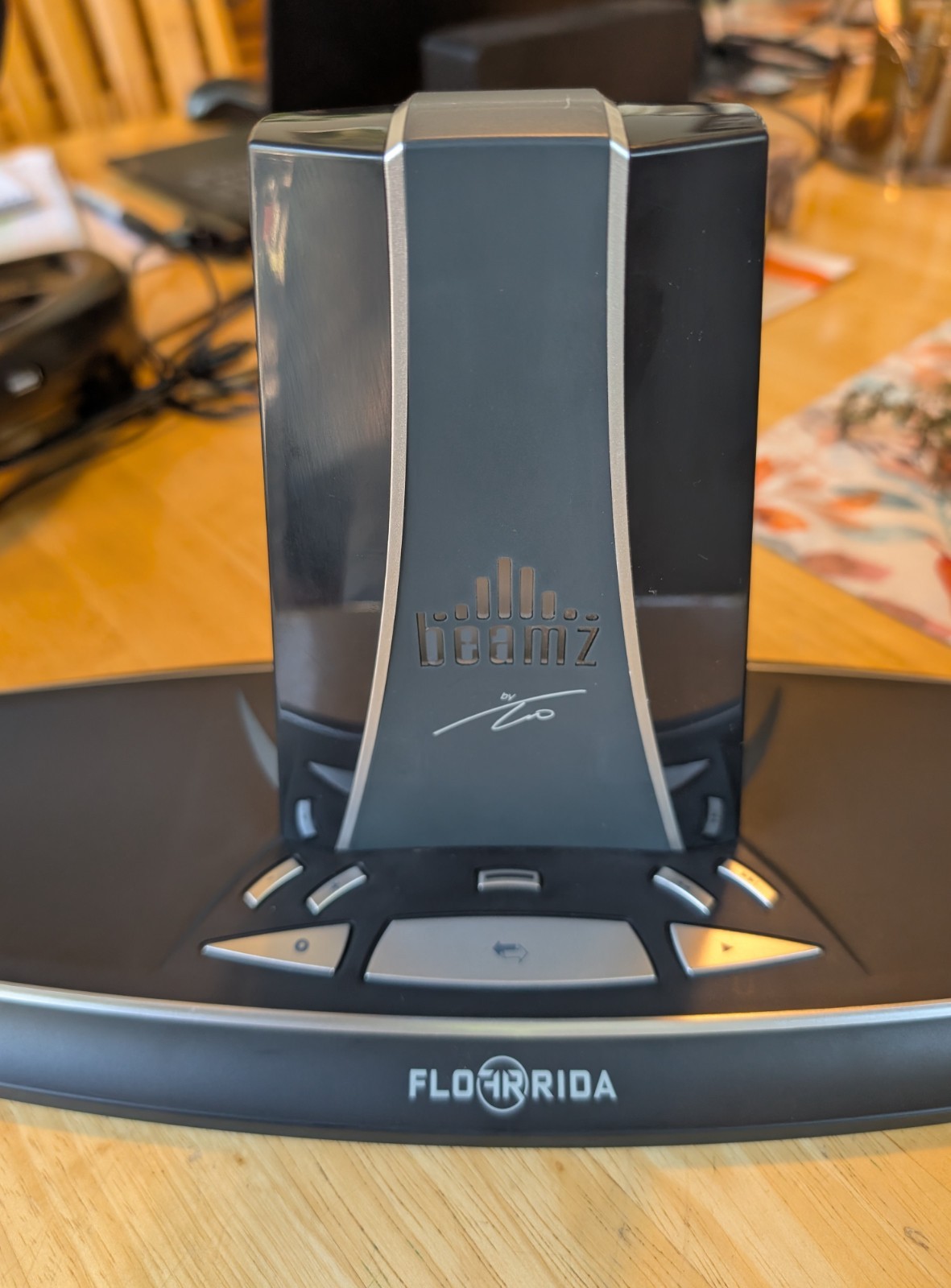 Beamz by Flo All-in-One Interactive Music System C1R42