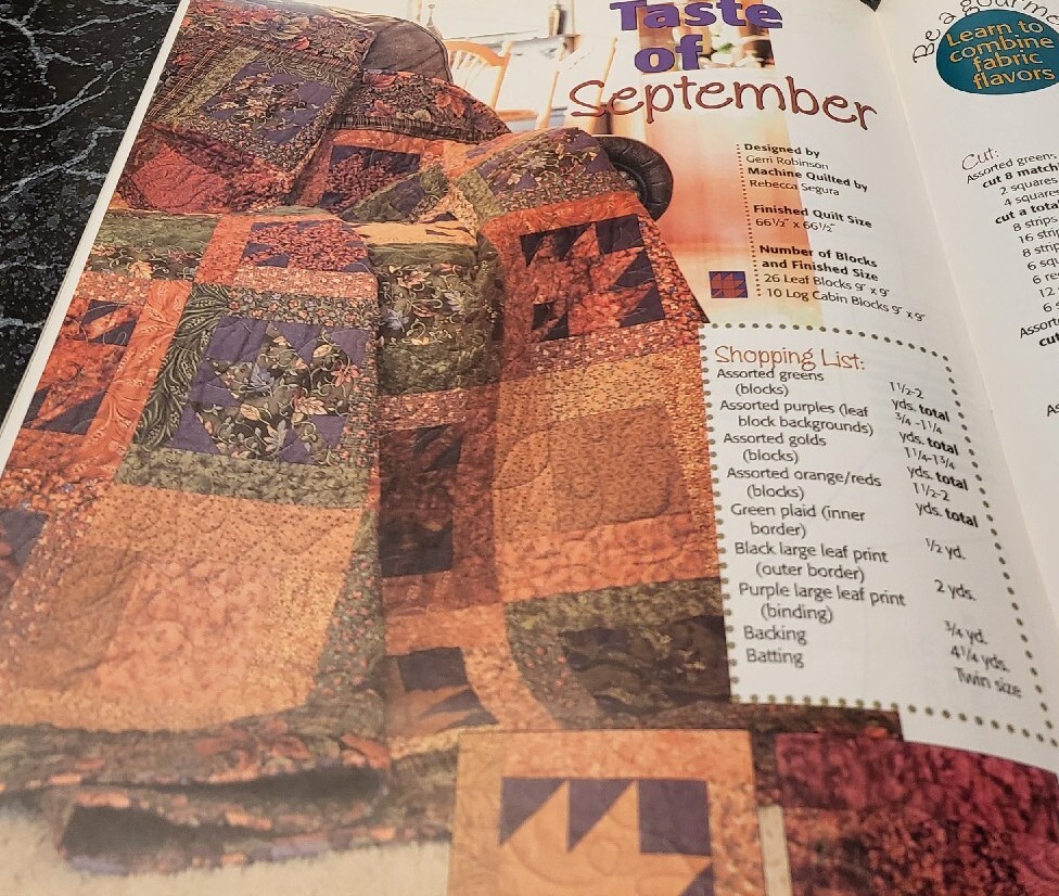 BU17 MCCALL'S QUICK QUILTS MAGAZINE, SEPTEMBER 2005