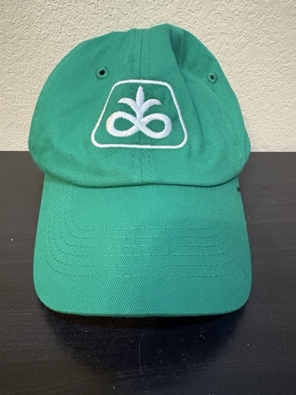 Youth Size Adjustable Pioneer Logo Baseball Cap Green & White Embroidered Logo