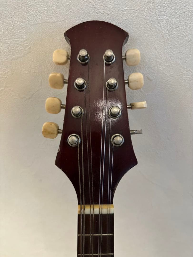 Suzuki Violin Mandolin No.225
