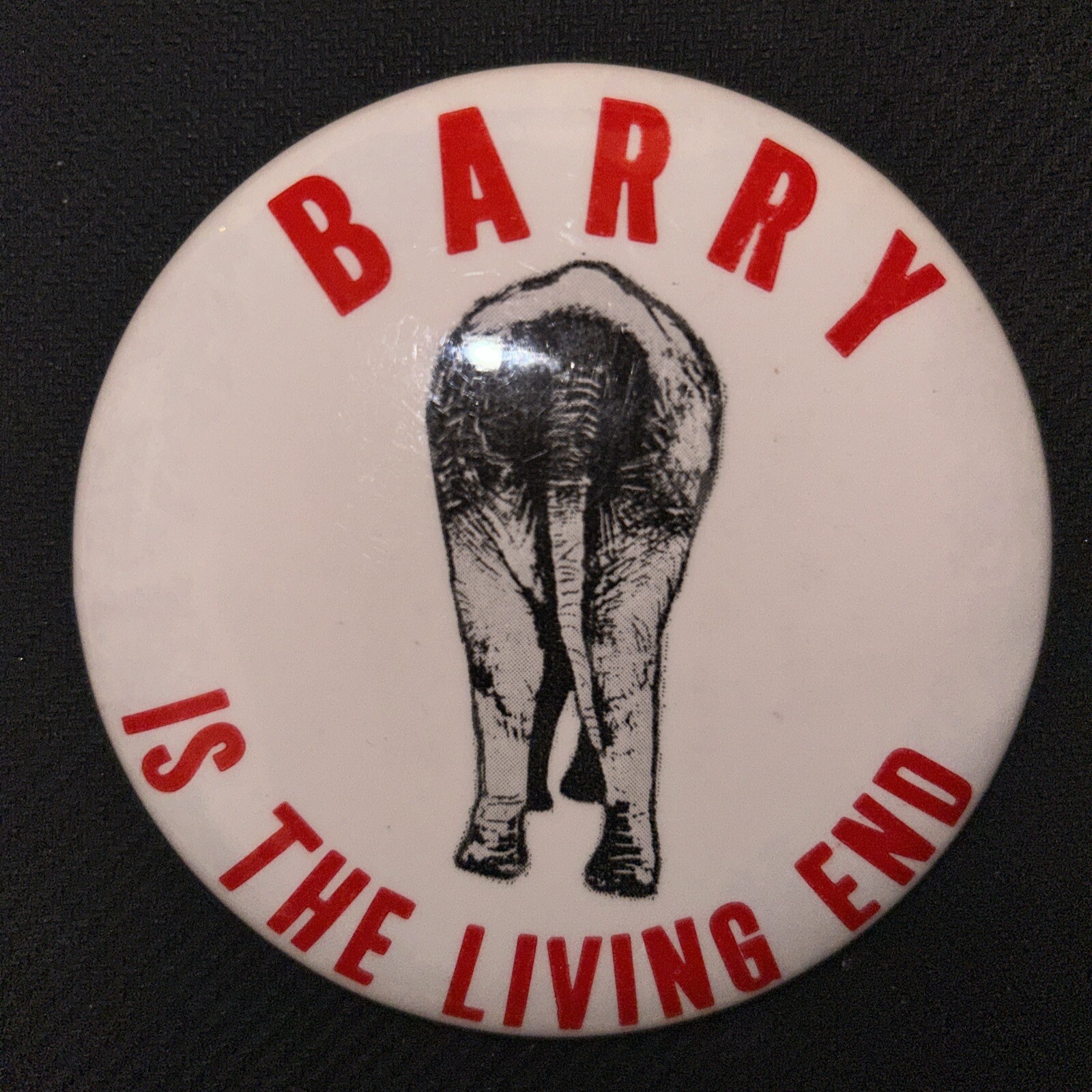 Barry (Goldwater) Is The Living End  3 1/2” pinback button pin