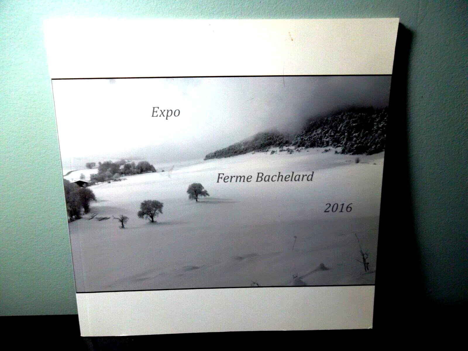 Expo; Ferme Bachelard 2016