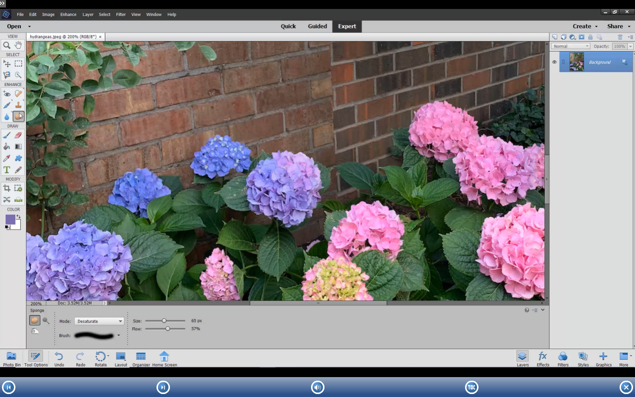 New PHOTOSHOP ELEMENTS 2022 DELUXE Training Tutorial & Quick Reference Guide