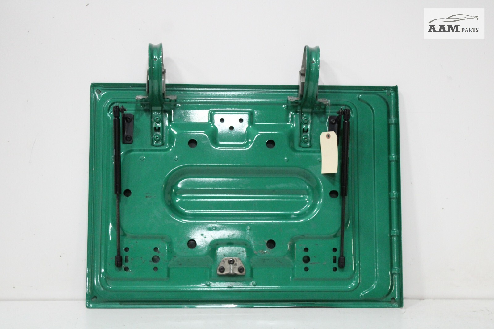 2018-2024 VOLVO VNL 860 REAR RIGHT DOOR COVER PANEL IRISH GREEN MET OEM