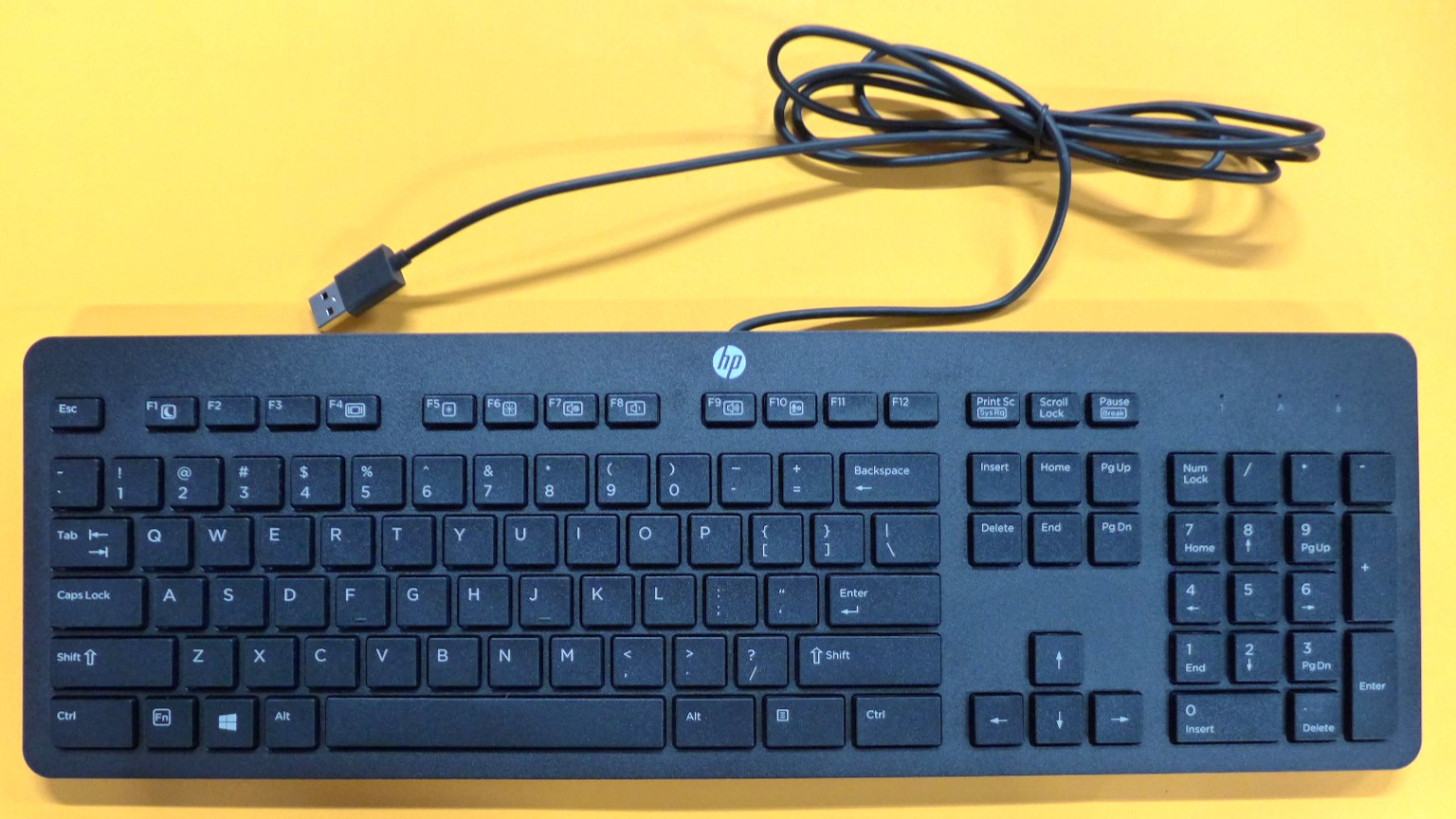 NEW HP Wired USB Slim Keyboard Black US E206453