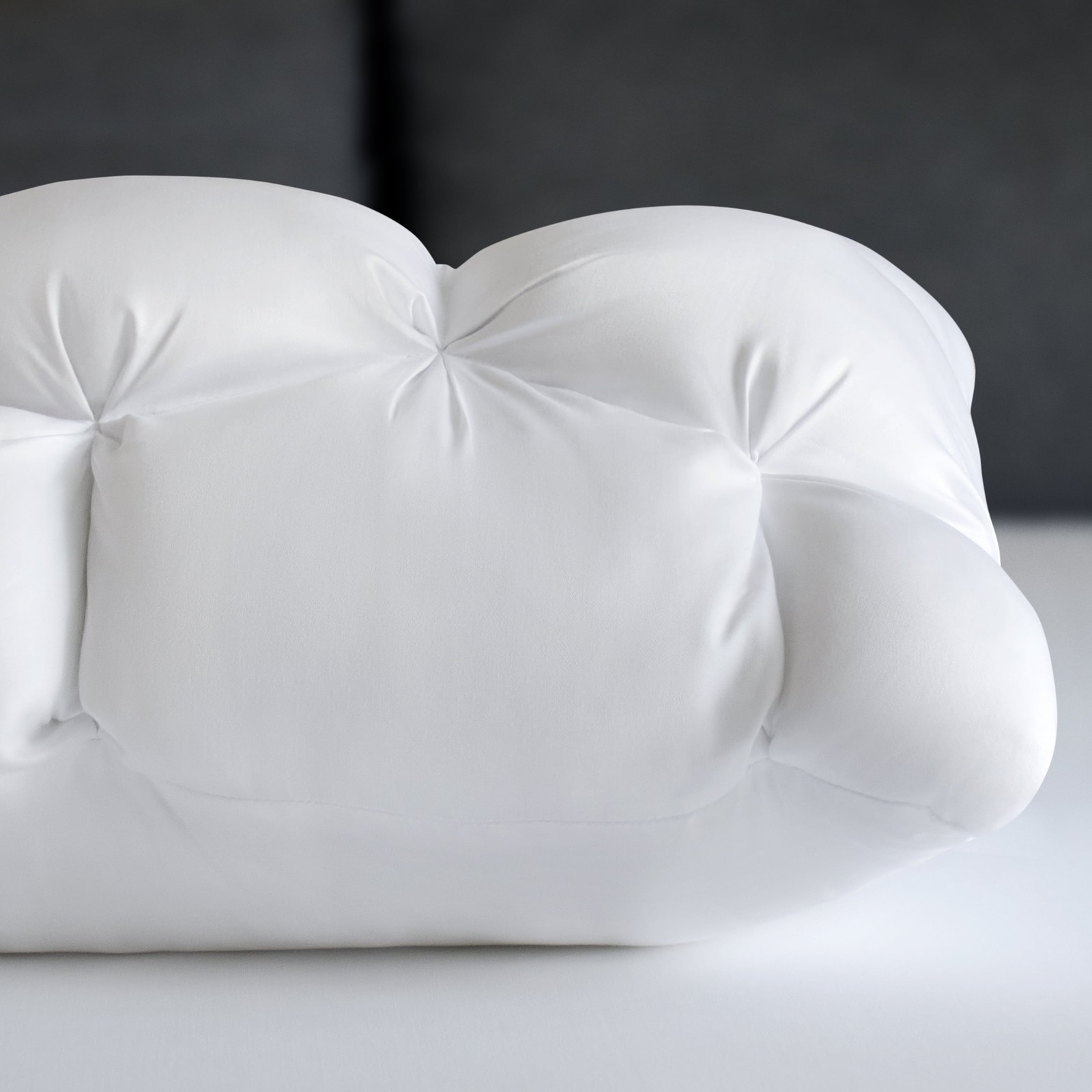 ® Down Alternative Cloud Luxe Bed Pillows Standard/Queen Adaptive Huggable Core