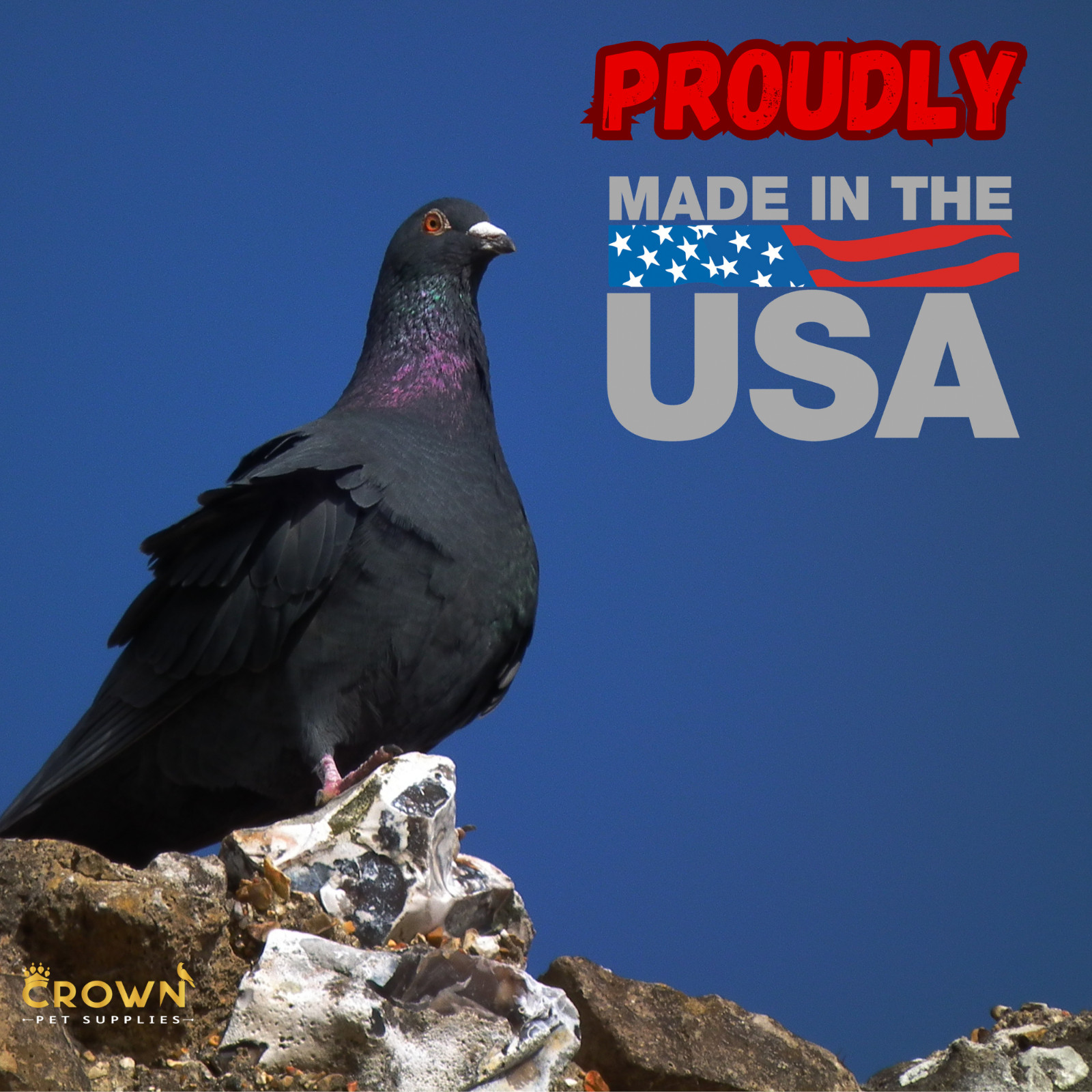 Multivitamins, Growth & Immunity, Prevent Eggs Failure, Strength For Pigeons
