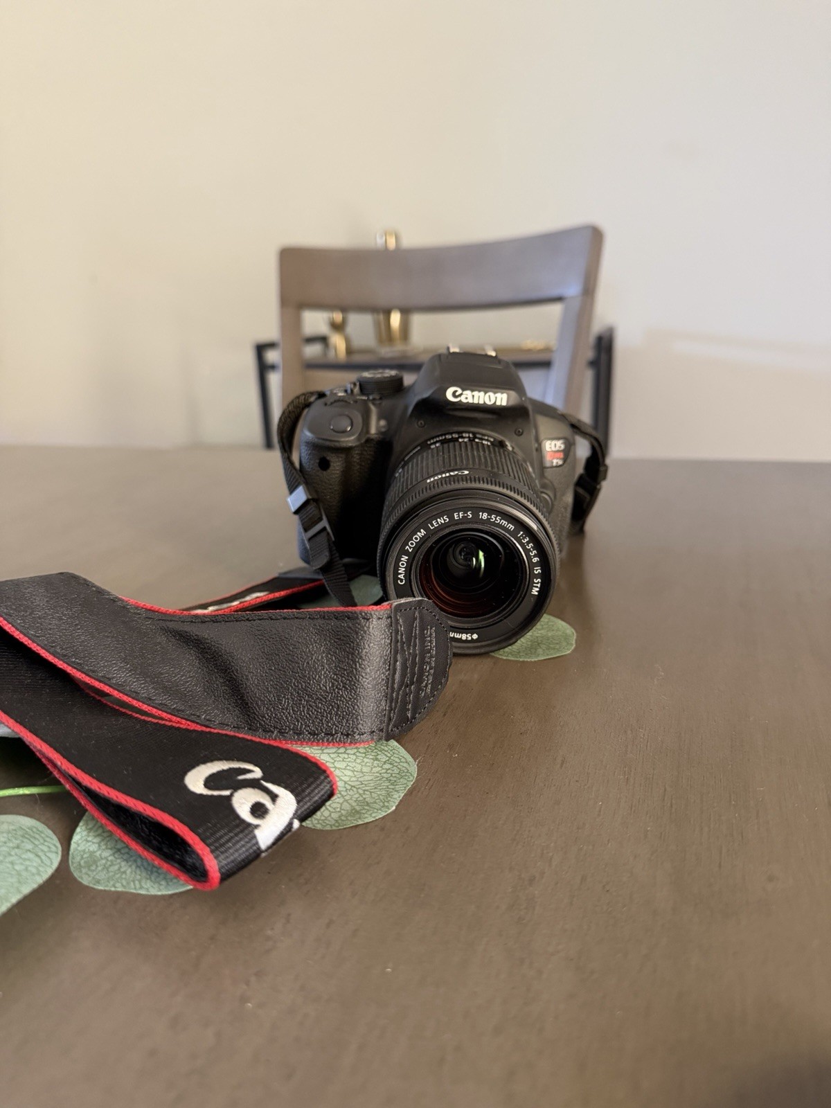 Canon EOS Rebel T5i Camera Bundle with Lens, Bag, Charger, Memory Cards, Remote