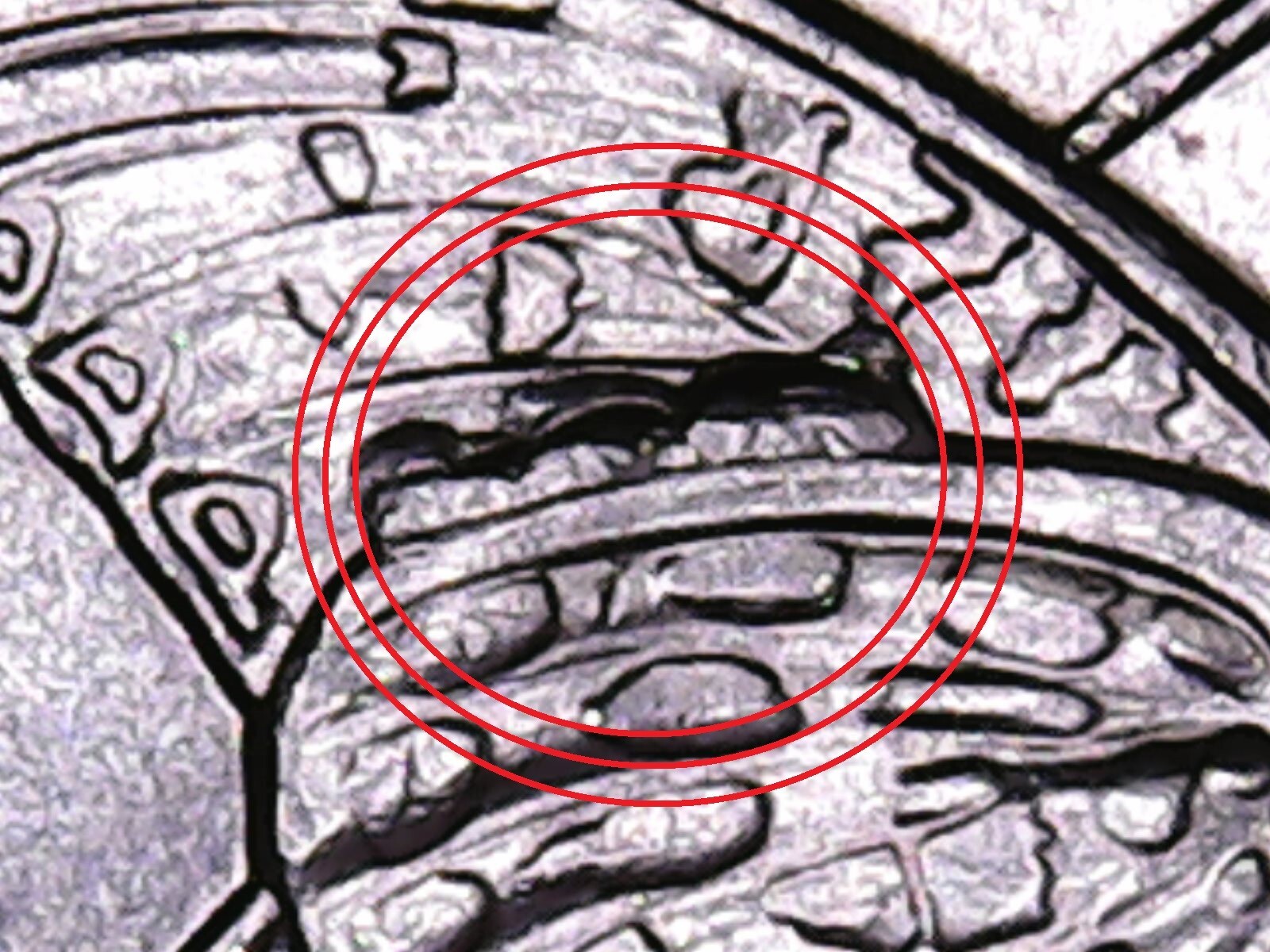 2020 P  Tallgrass Prairie ATB Quarter with Die Break. US Mint Error.