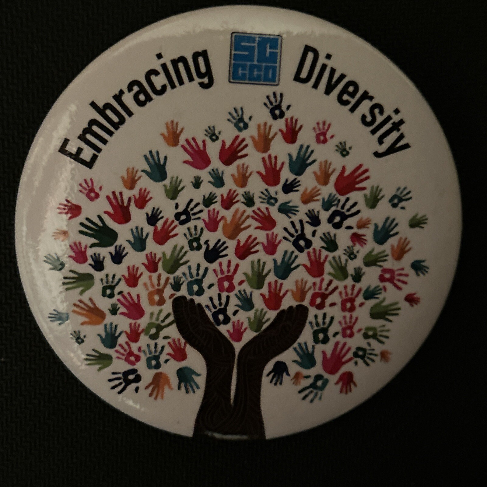 Embracing Diversity 3" pinback button pin