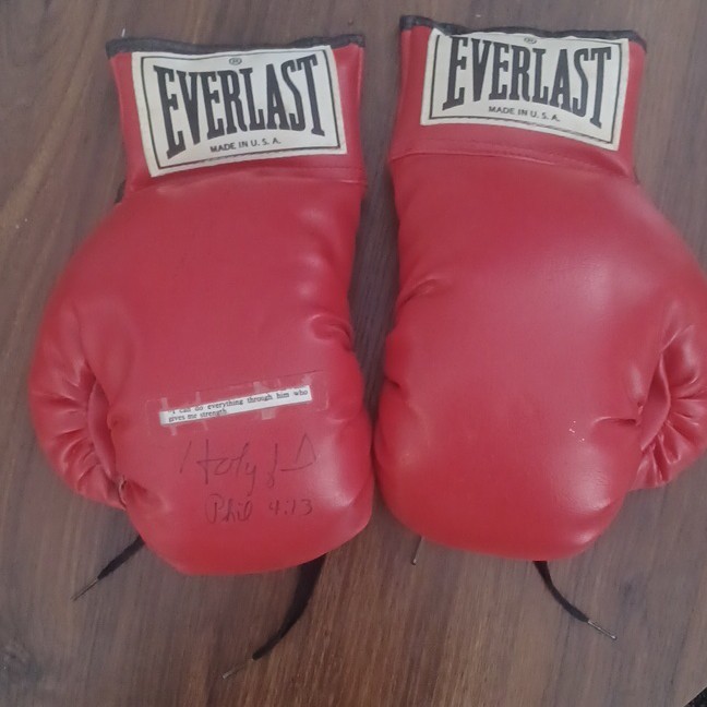 Evandar HOLYFIELD Gloves Pair for Boxing