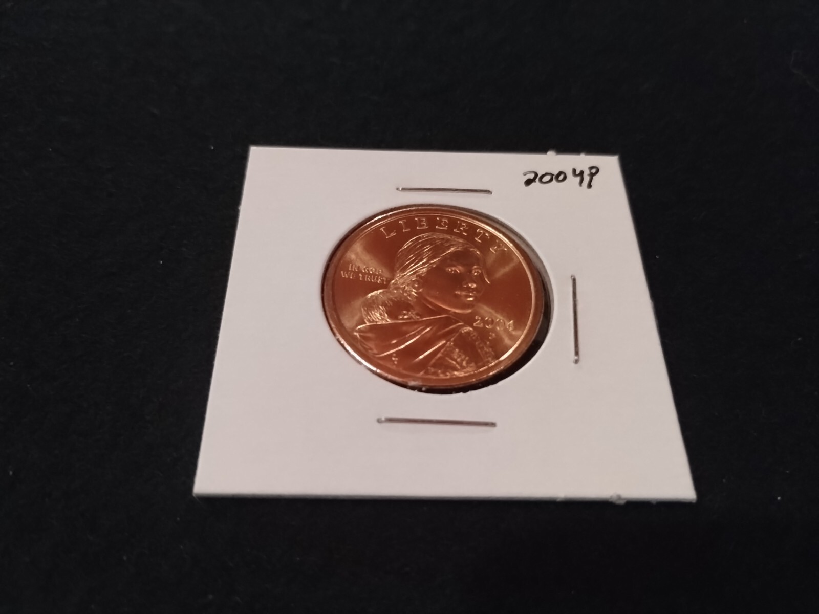 2004 P Sacagawea Dollar From US Mint Coin Roll  Brilliant Uncirculated Condition