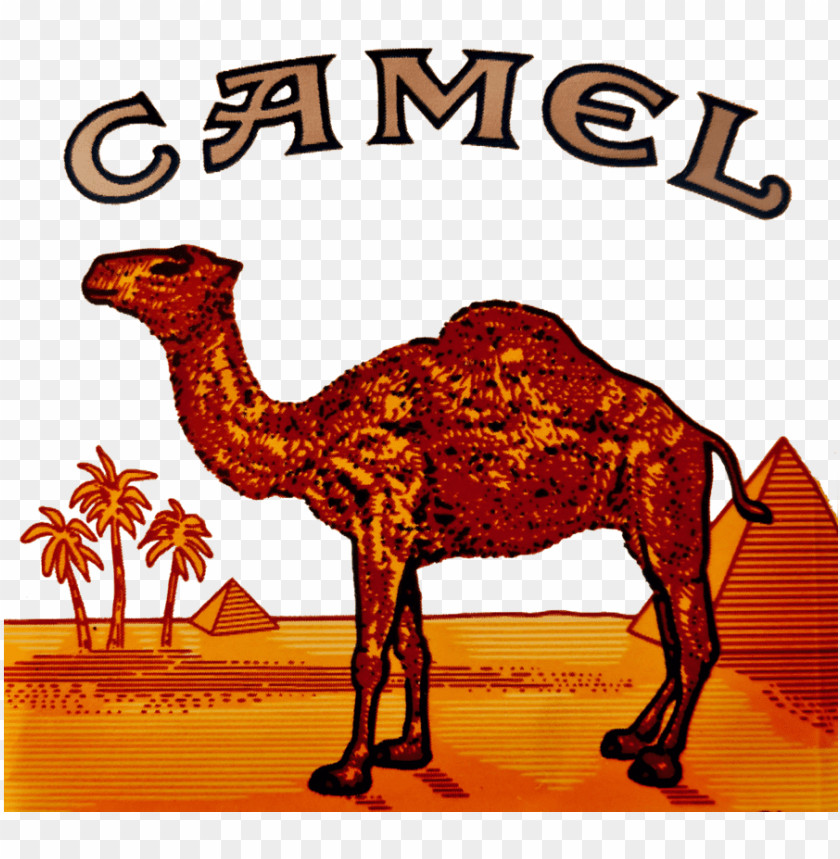 Camel Cigarettes sticker weatherproof bumper vinyl decal