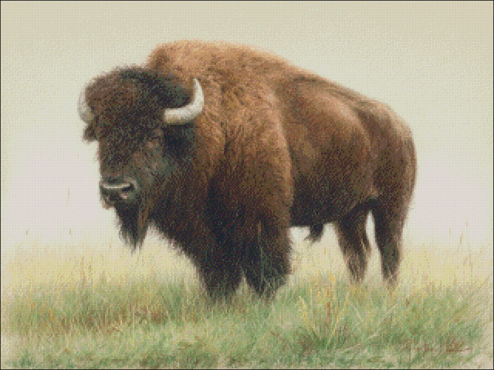 American Bison on the Meadow - Chart Counted Cross Stitch Patterns Needlework
