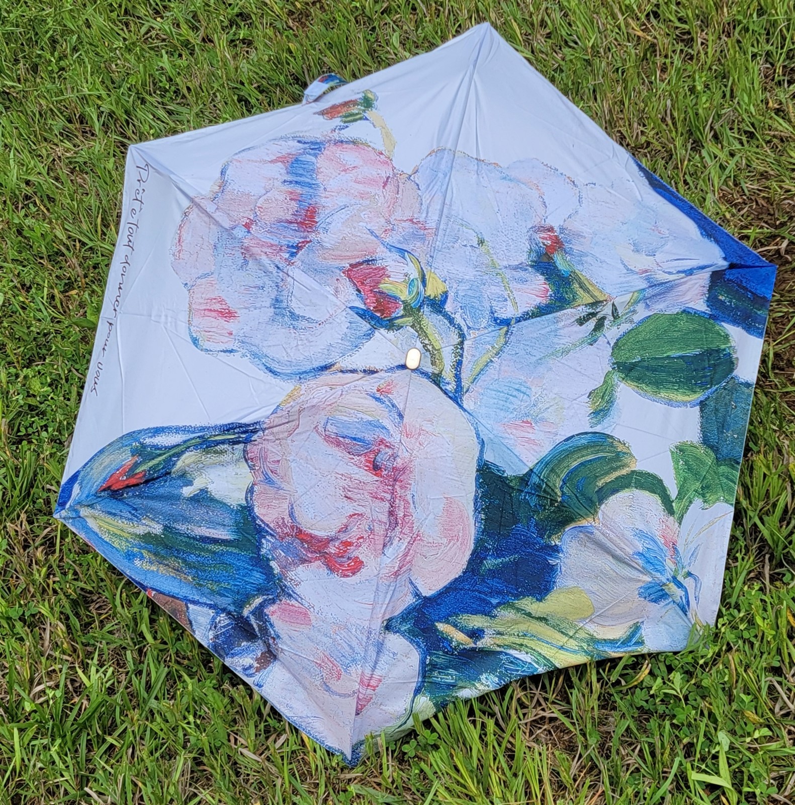 Victorian Trading Ready for Anything French Roses Floral Pocket Umbrella 42E