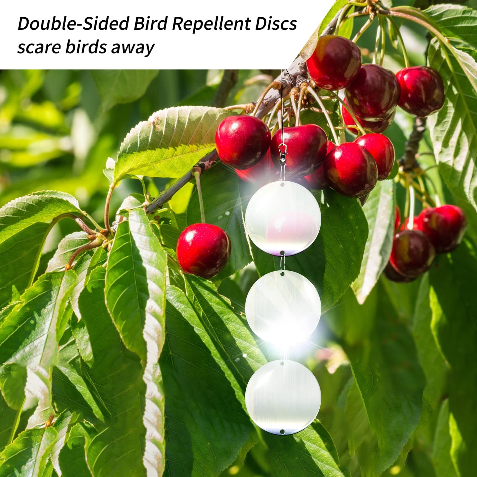 Reflective Bird Scare Discs Set, 24PCS Large Double-Sided Bird Deterrents for...
