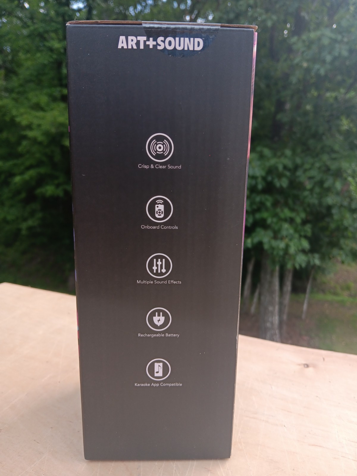 Karaoke Bluetooth Microphone And Wireless Speaker | Art+Sound