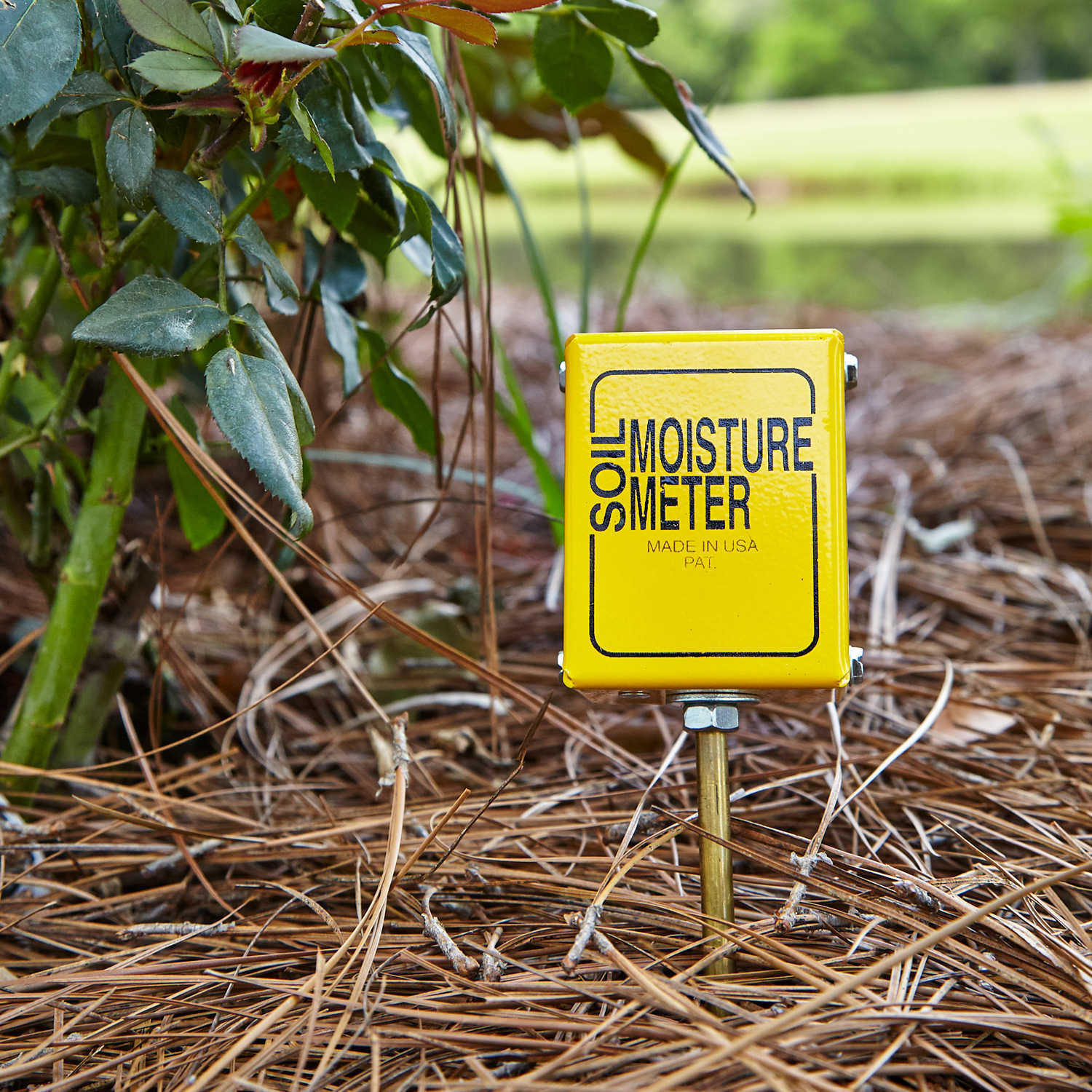 Lincoln Soil Moisture Meter with 9” Probe