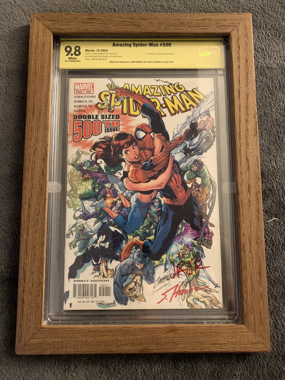 Graded Comic Book Display Frame CGC CBCS Slabs Wall Hanging Custom Made 
