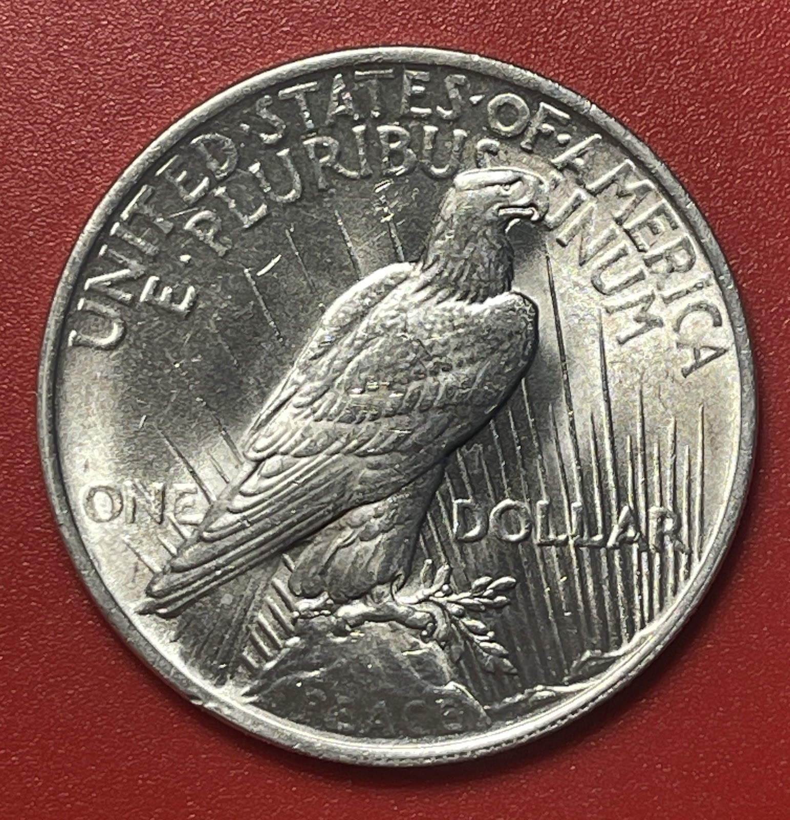 1923 P Peace Silver Dollar, Choice to Gem Uncirculated