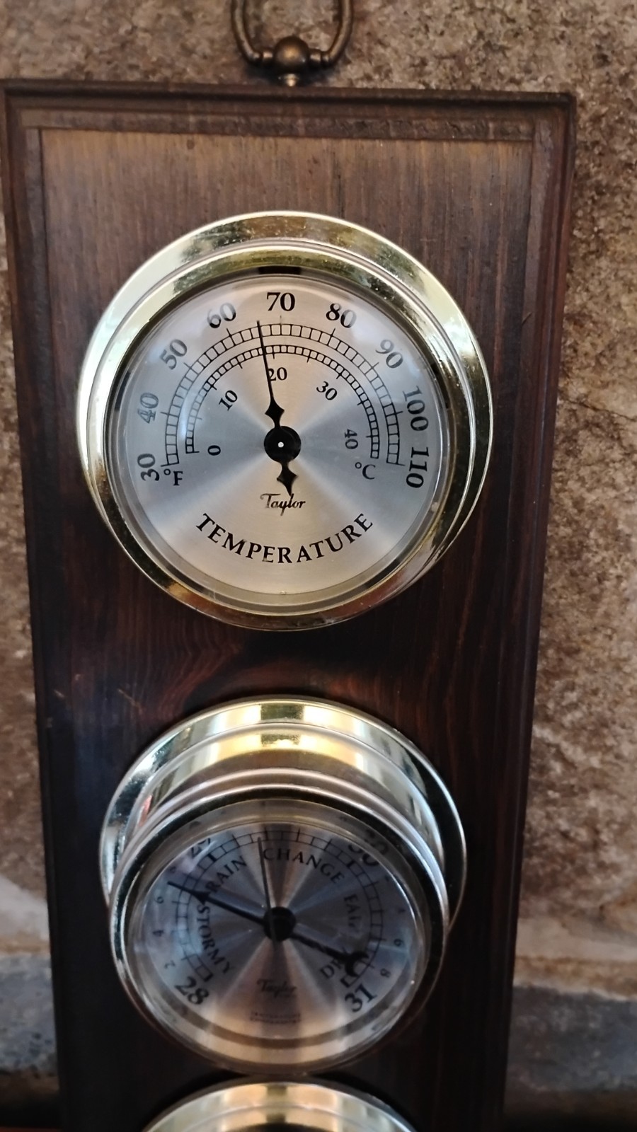 Taylor Sybron Weather Station