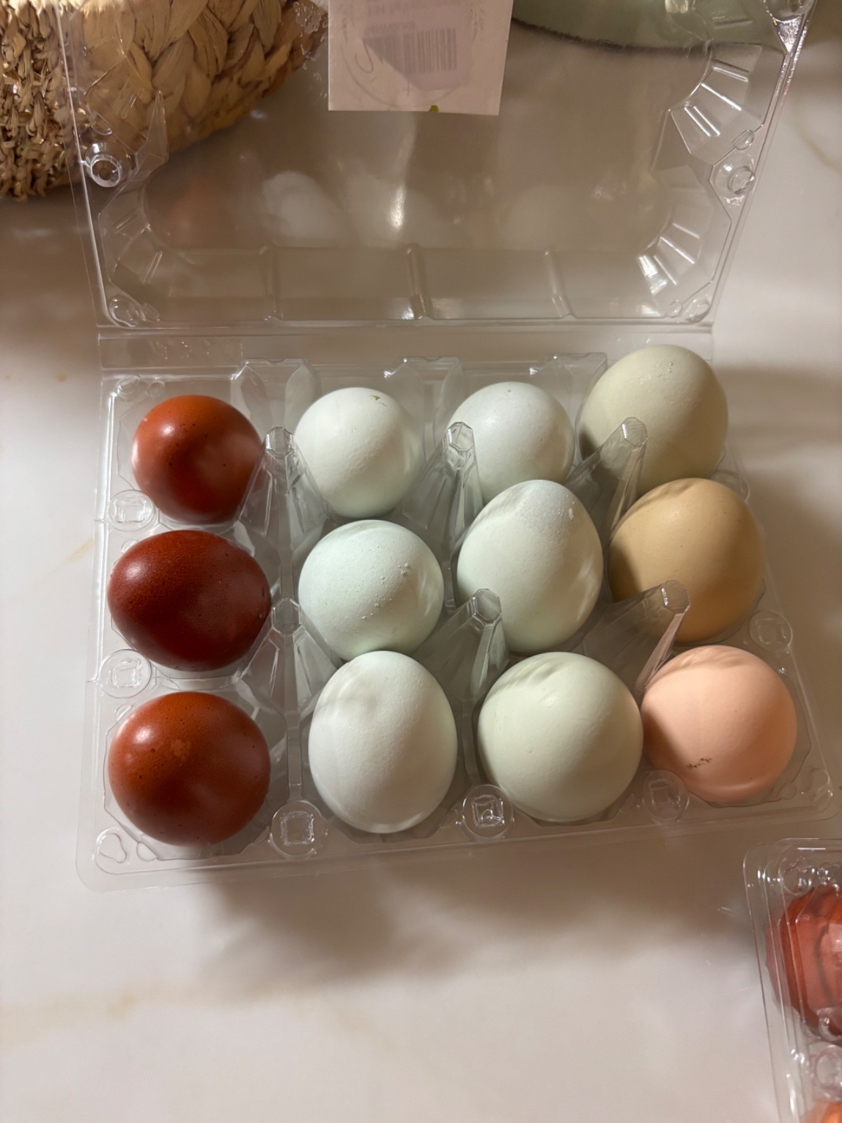 Dozen Hatching Eggs Dark Layers