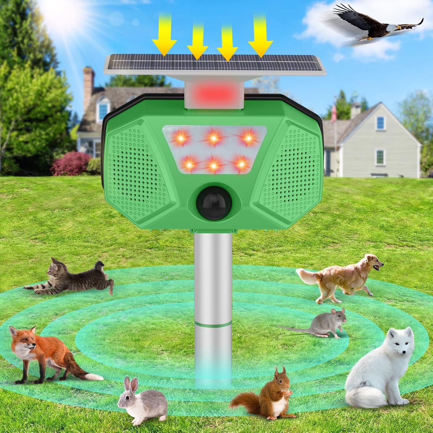 Solar Ultrasonic Animal Repeller with Motion Sensor LED Flashing for Squirrels