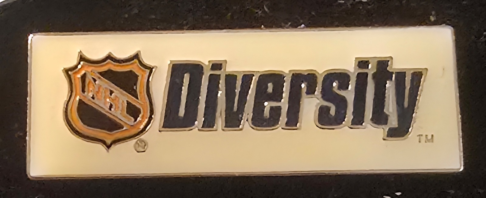 NHL DIVERSITY LAPEL PIN