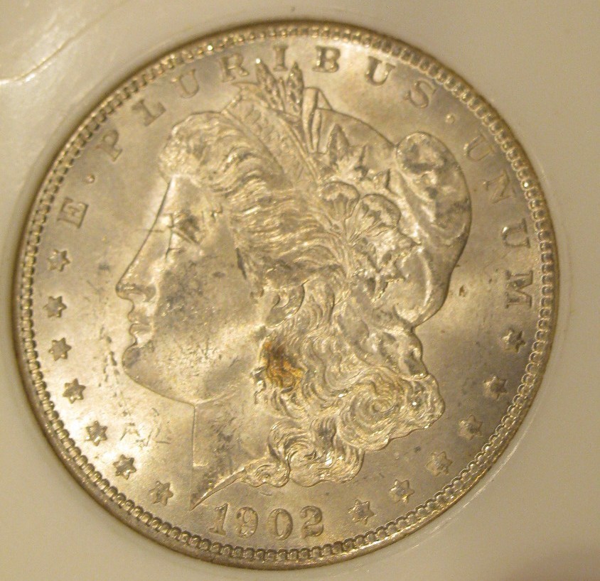 1902 O Morgan Silver Dollar  Uncirculated, Light peripheral toning, 5141