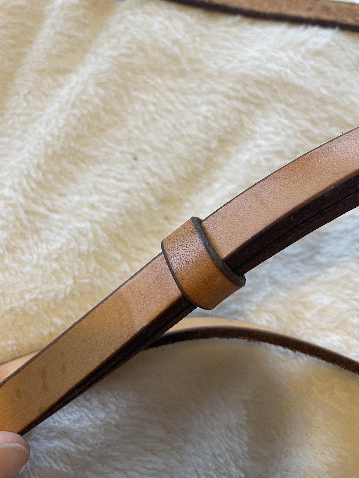 schutz brothers split reins