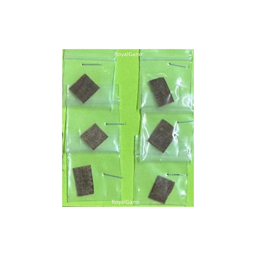 [New] 6 pcs Pure Natural Gambir Sarawak Men Sex Delay Prolong Premature
