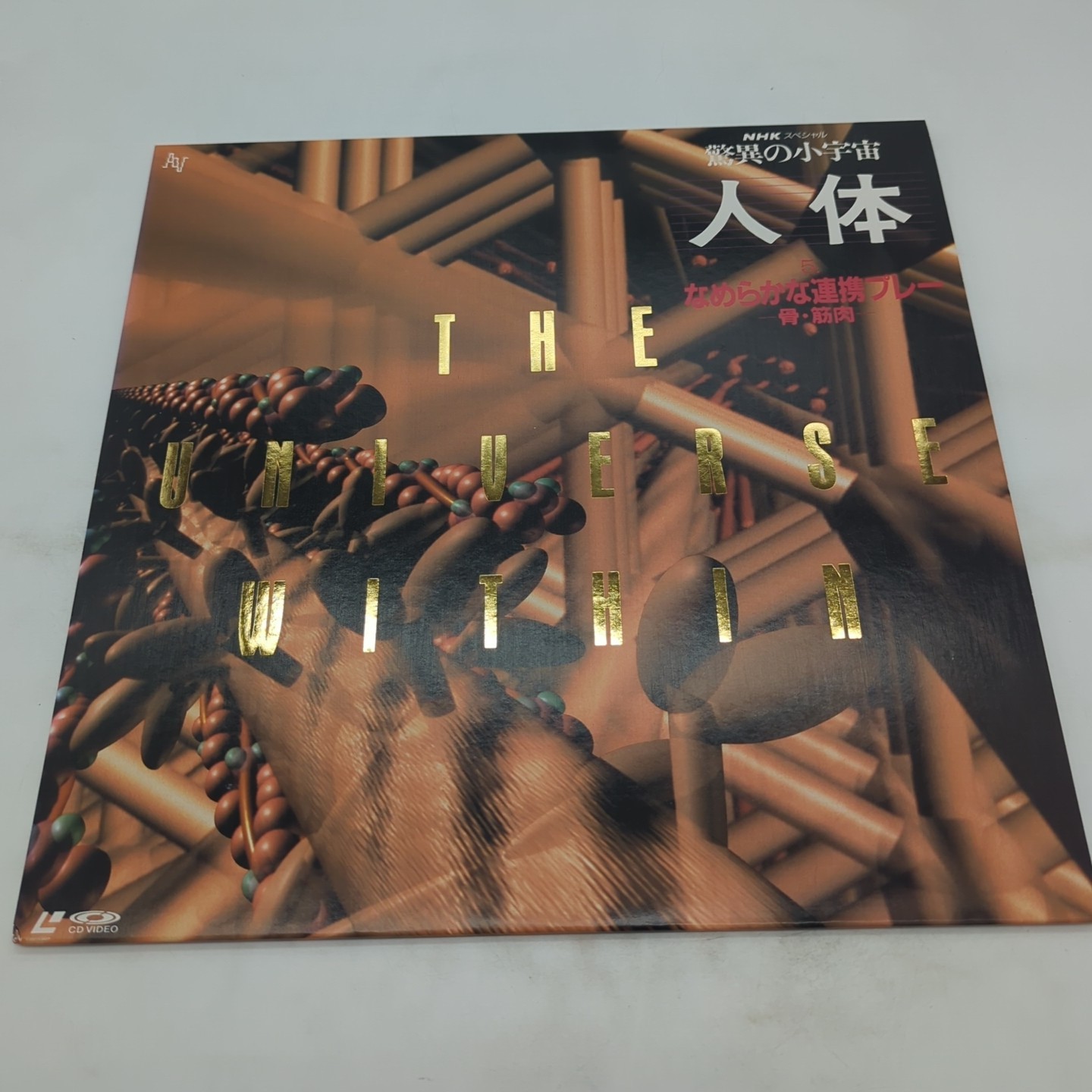 NHK Universe Within Human Body Vol 5 Bones Muscles Laserdisc Japan 1989 N75L-9 L