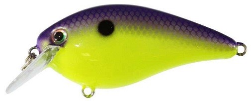 Strike King KVD 1.5 Square Bill Silent Crankbait- Purple Freak Show