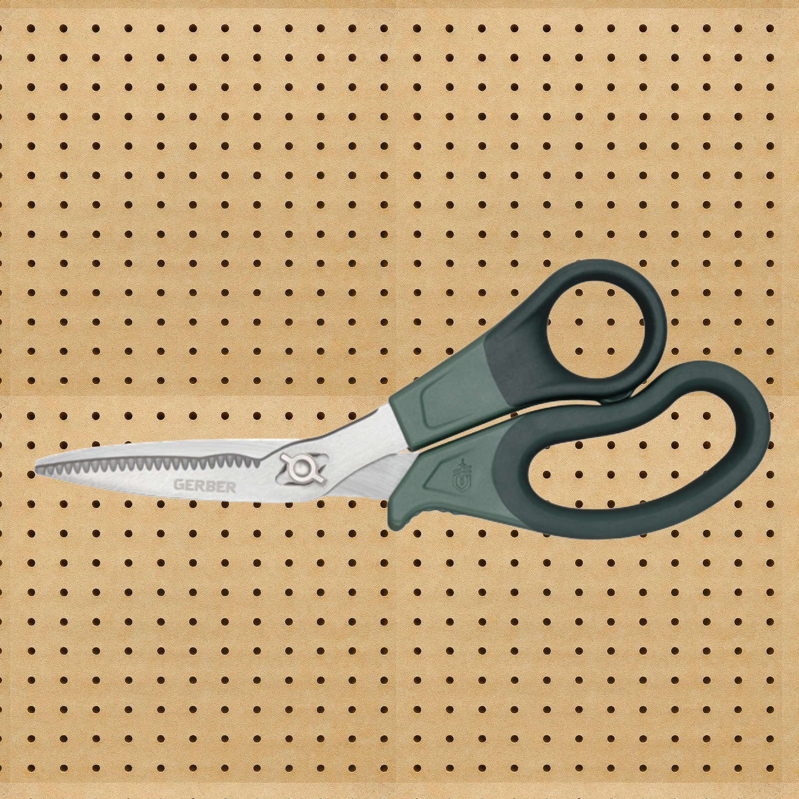 Gerber ComplEAT Take-a-Part Shears: 8.1 inch length