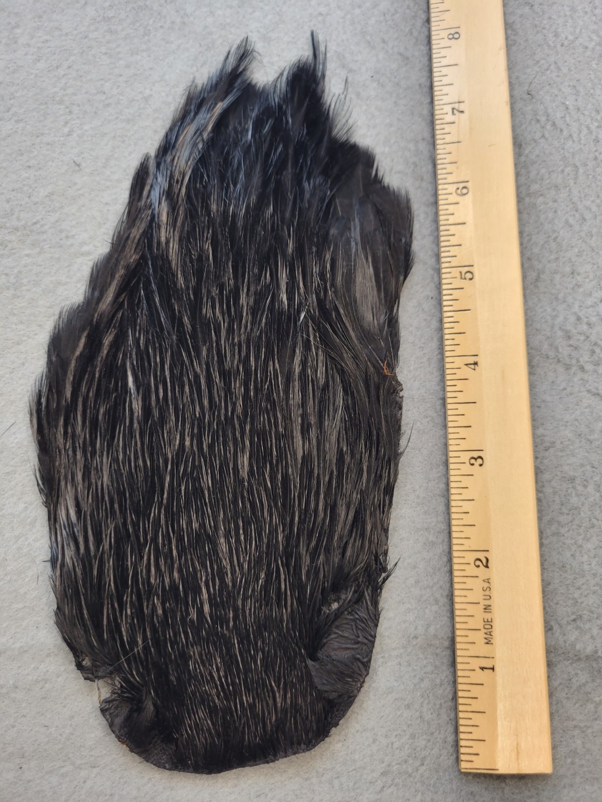 Lot 169,  Grade B,  DYED BLACK India Rooster Streamer Neck Cape Feathers