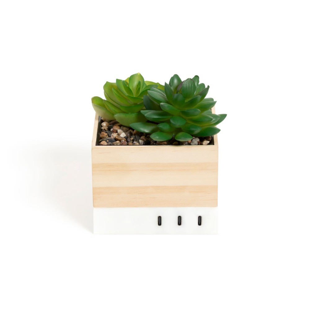 Desktop Charging Organizer, 5.4 x 3.9 x 3.9“, Succulent