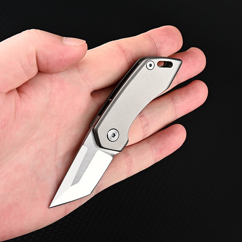Mini Titanium Folding D2 Tanto Blade Knife EDC Outdoor Camping Keychain Tools