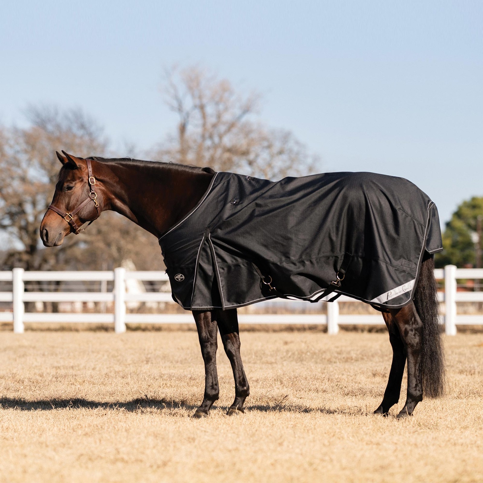 PROFESSIONAL'S CHOICE 1200D Horse 70in Black Rain Sheet (PCRS70-BLA)