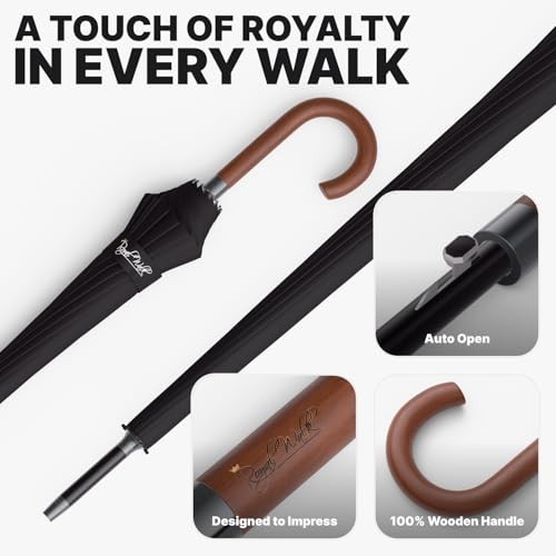 Windproof Large Umbrella for Rain 54 Inch Automatic Open for 2 Persons Wind Resi