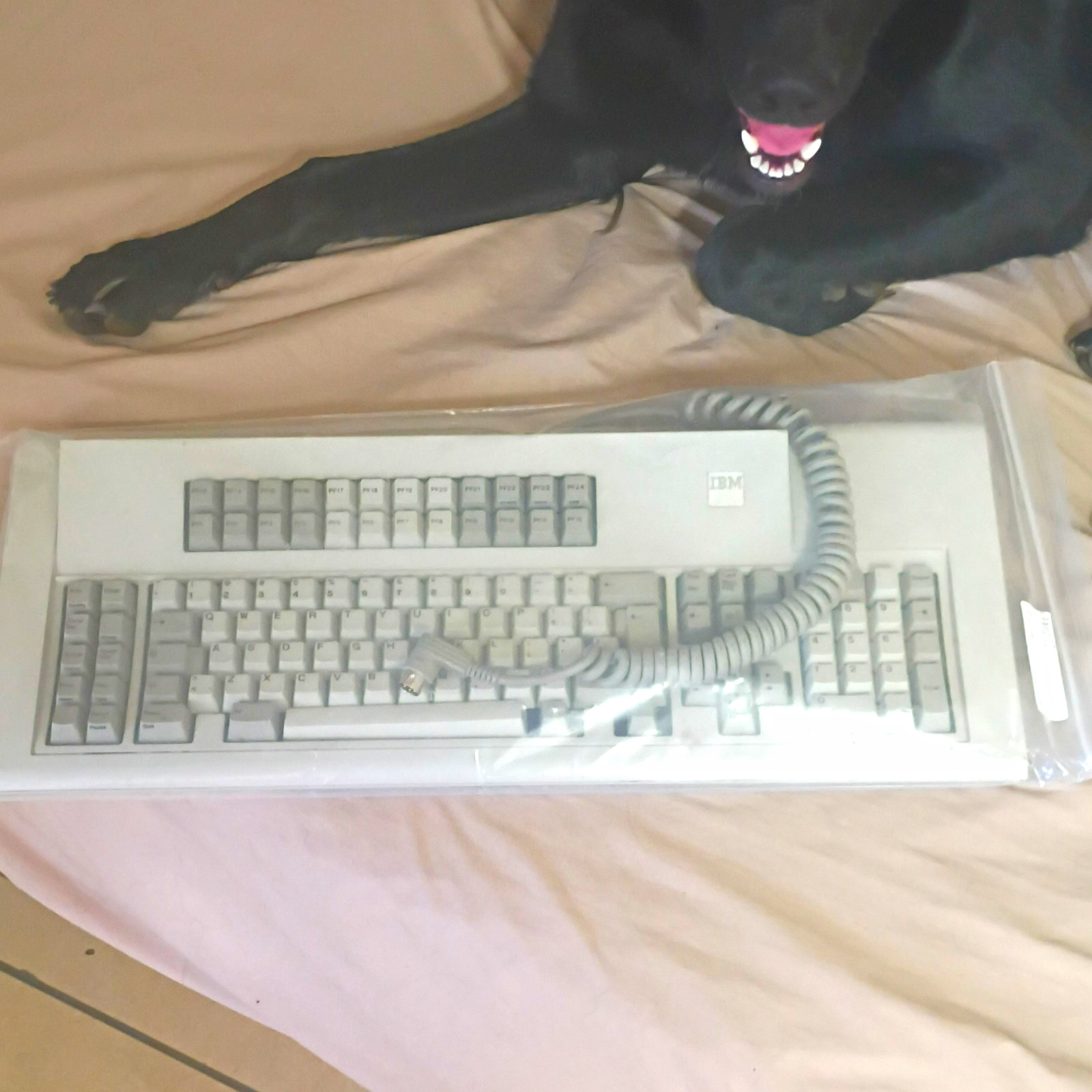 IBM Model M Mechanical Keyboard Gray Wired PS/2 English QWERTY MPN 1390702