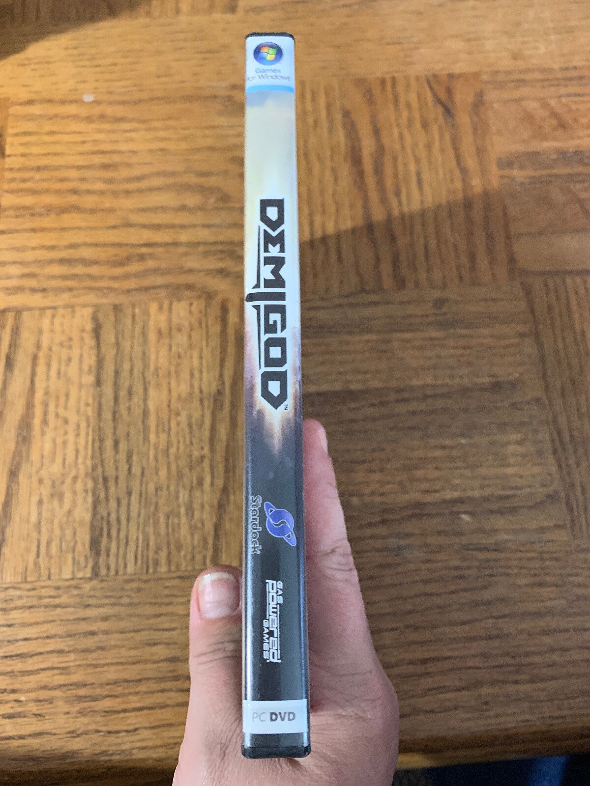 Demigod Computer Software