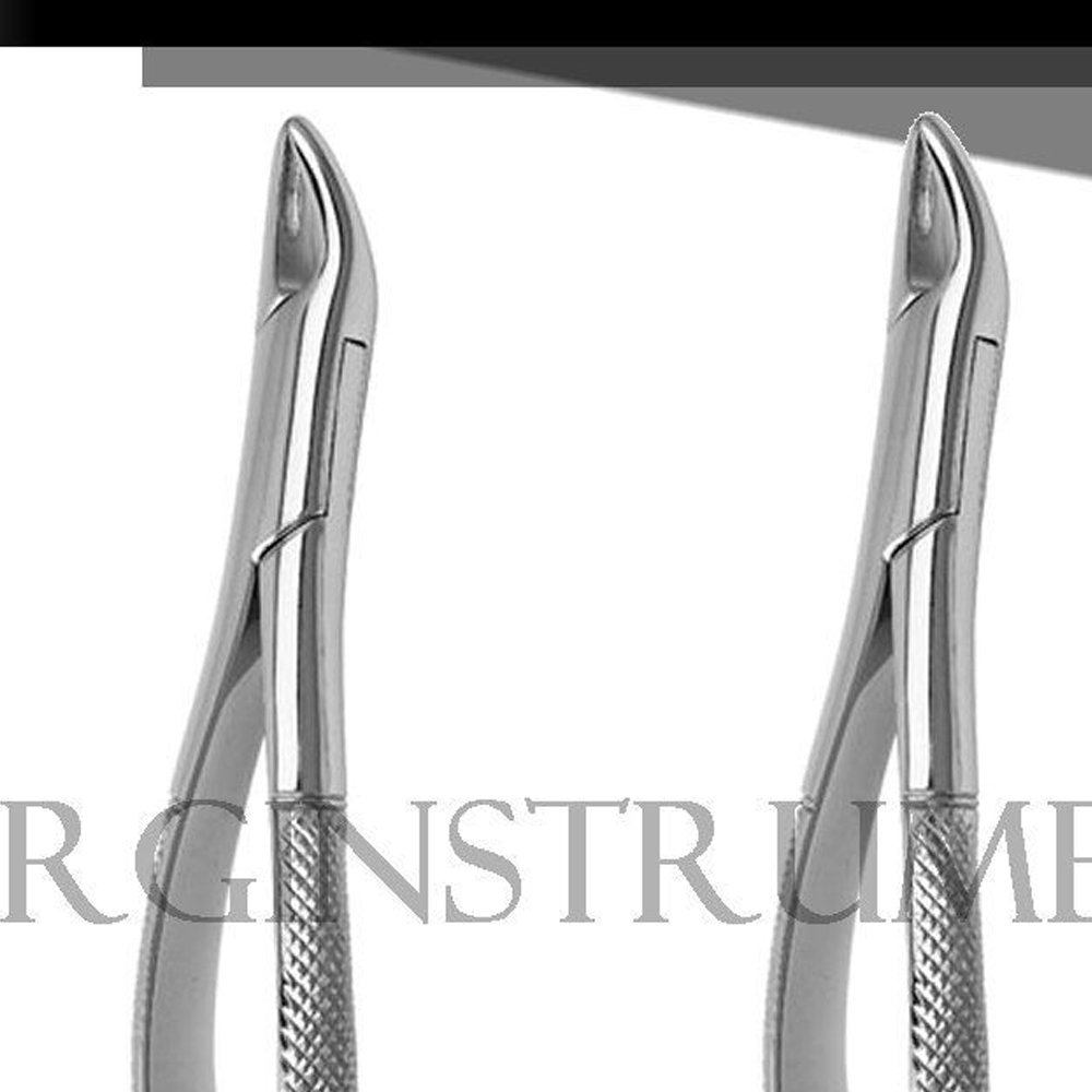 10 Pcs Extracting Forceps #150 & 151 Dental Instruments Stainless German Grade