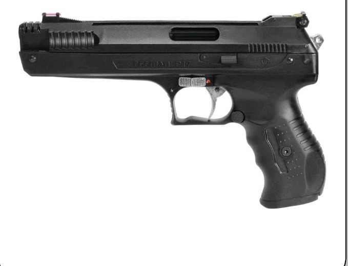 Beeman 2004 P17 Deluxe .177 Caliber Single-Stroke Pneumatic Airgun Air Pistol